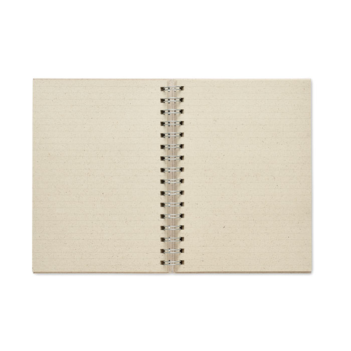 mo6541 13 back